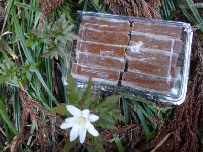 f:id:hatekota810:20140508194408j:image