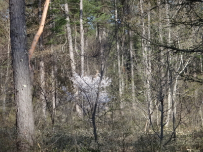 f:id:hatekota810:20140511180603j:image