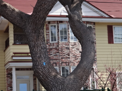 f:id:hatekota810:20140513195116j:image