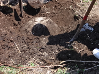 f:id:hatekota810:20140517193304j:image