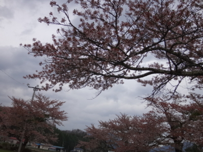 f:id:hatekota810:20140520193223j:image