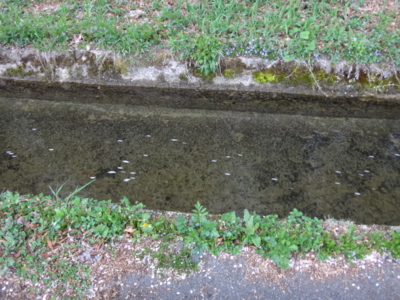 f:id:hatekota810:20140520193813j:image