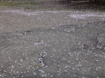 f:id:hatekota810:20140520193931j:image