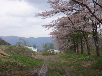 f:id:hatekota810:20140520194143j:image