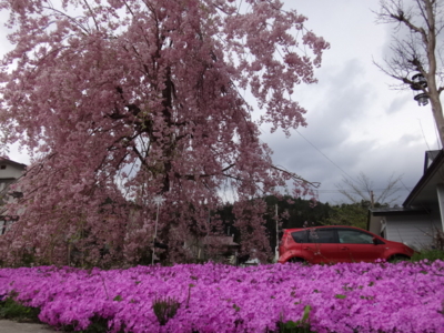 f:id:hatekota810:20140521185140j:image