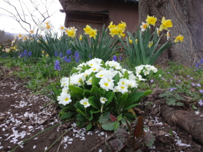 f:id:hatekota810:20140521185606j:image