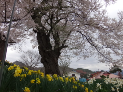 f:id:hatekota810:20140521185826j:image