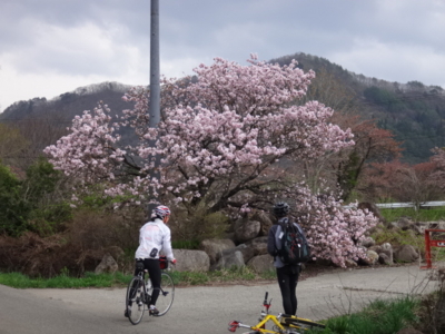 f:id:hatekota810:20140522185342j:image