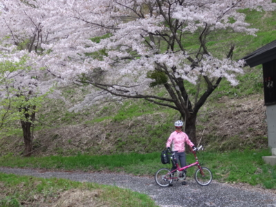 f:id:hatekota810:20140522185722j:image