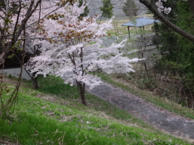 f:id:hatekota810:20140523184642j:image