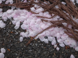 f:id:hatekota810:20140523184800j:image