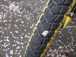 f:id:hatekota810:20140523184801j:image