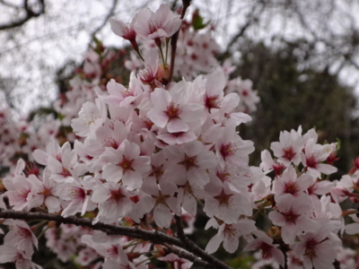 f:id:hatekota810:20140524194158j:image