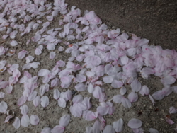 f:id:hatekota810:20140526191631j:image