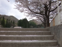 f:id:hatekota810:20140526191632j:image