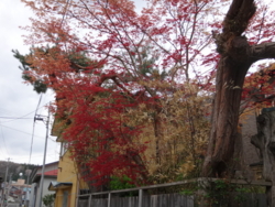 f:id:hatekota810:20140526192639j:image