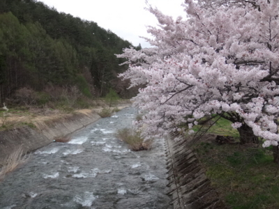 f:id:hatekota810:20140531185225j:image