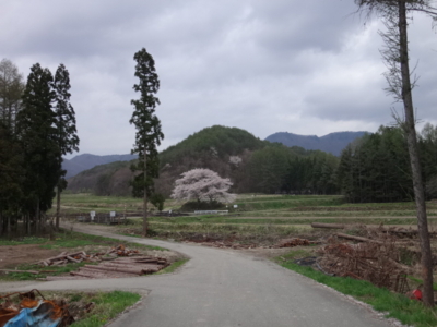 f:id:hatekota810:20140531185509j:image