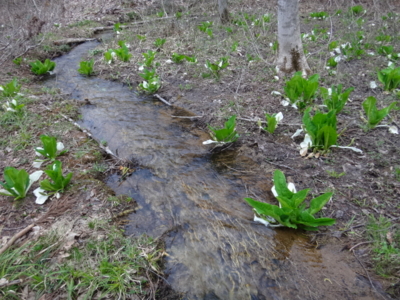 f:id:hatekota810:20140531190221j:image