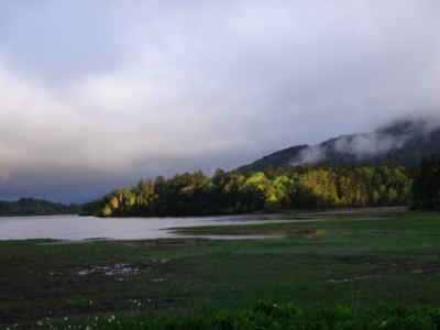 f:id:hatekota810:20140615191615j:image