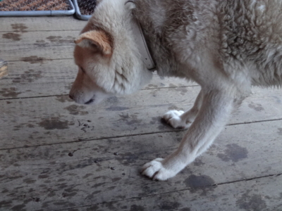 f:id:hatekota810:20140615192541j:image