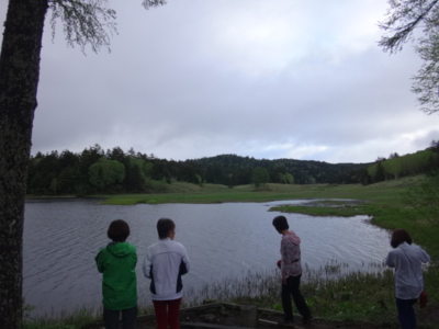 f:id:hatekota810:20140616193412j:image