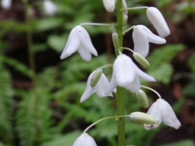 f:id:hatekota810:20140616195030j:image