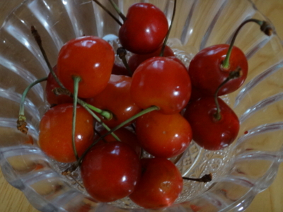 f:id:hatekota810:20140704194748j:image