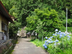 f:id:hatekota810:20140716191249j:image