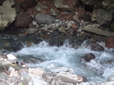 f:id:hatekota810:20140803071040j:image