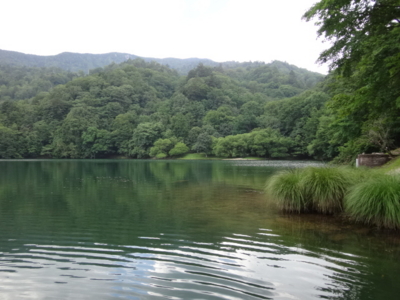 f:id:hatekota810:20140805192310j:image