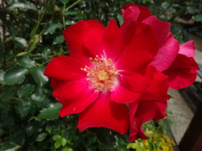f:id:hatekota810:20140823184801j:image