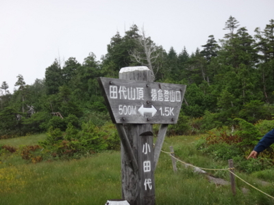 f:id:hatekota810:20140901192007j:image