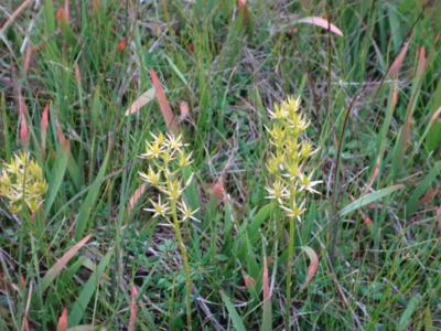 f:id:hatekota810:20140901192151j:image