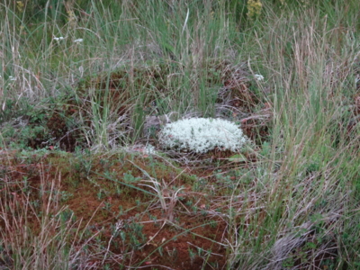 f:id:hatekota810:20140901192213j:image