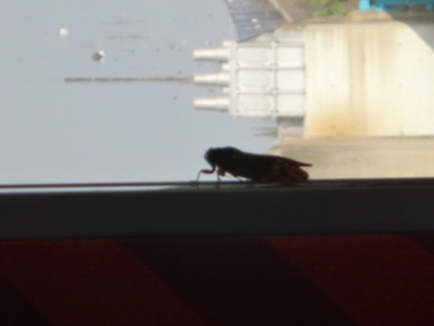 f:id:hatekota810:20140903192752j:image