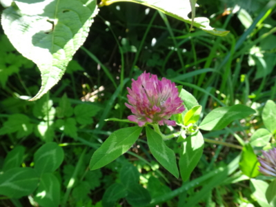 f:id:hatekota810:20140914190423j:image