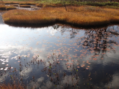 f:id:hatekota810:20141005185709j:image