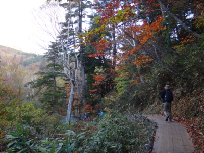 f:id:hatekota810:20141008195518j:image