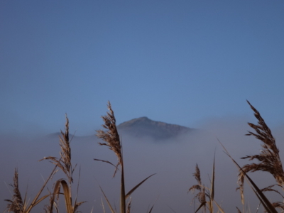 f:id:hatekota810:20141013190439j:image