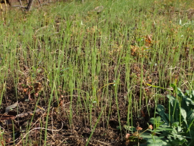 f:id:hatekota810:20141029185347j:image