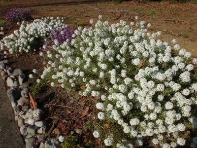 f:id:hatekota810:20141029185542j:image