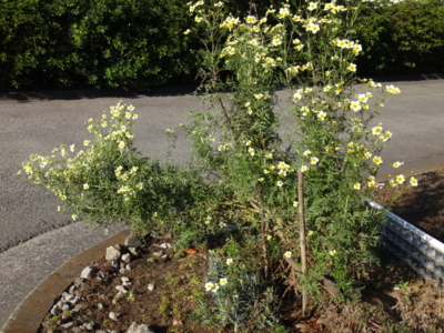 f:id:hatekota810:20141029185635j:image