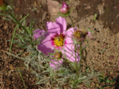 f:id:hatekota810:20141031195308j:image