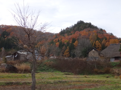 f:id:hatekota810:20141105192634j:image