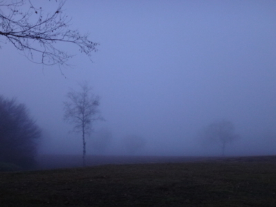 f:id:hatekota810:20141106191626j:image