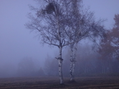 f:id:hatekota810:20141106191744j:image