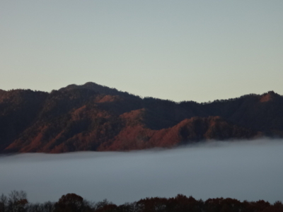 f:id:hatekota810:20141106192113j:image