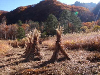 f:id:hatekota810:20141112185909j:image