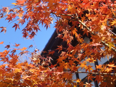 f:id:hatekota810:20141209190033j:image